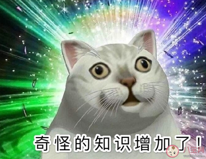 成語博士買驢諷刺的是什么 支付寶螞蟻莊園小課堂9月22日今日答案最新 成語博士買驢諷刺的是什么 支付寶螞蟻莊園小課堂9月22日今日答案最新