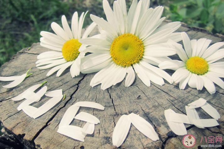 充滿少年感的朋友圈說說句子 形容少年感強(qiáng)的語錄大全