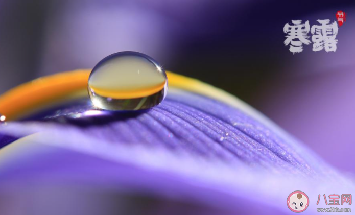 2020寒露節(jié)氣早安問候語圖片發(fā)朋友圈 2020寒露節(jié)氣早安心語帶字圖片說說 2020寒露節(jié)氣早安問候語圖片發(fā)朋友圈 2020寒露節(jié)氣早安心語帶字圖片說說