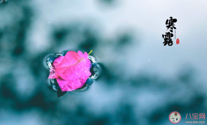 2020寒露節(jié)氣早安問候語圖片發(fā)朋友圈 2020寒露節(jié)氣早安心語帶字圖片說說 2020寒露節(jié)氣早安問候語圖片發(fā)朋友圈 2020寒露節(jié)氣早安心語帶字圖片說說