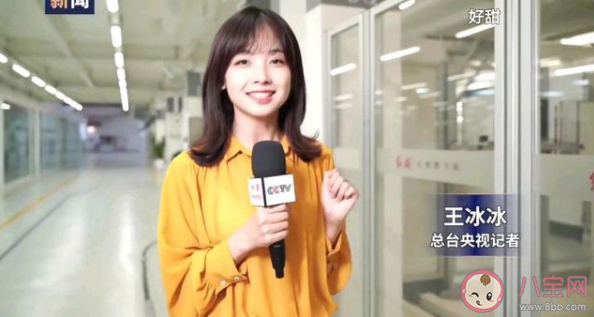 王冰冰為什么紅了 央視記者王冰冰個人資料