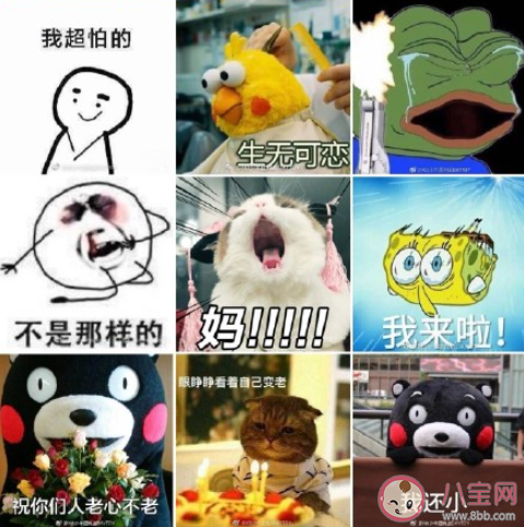 肖戰誰還不會整點兒土味情話啊什么梗 肖戰用過的表情包圖片大全