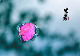 2020寒露節氣早安問候語圖片發朋友圈 2020寒露節氣早安心語帶字圖片說說