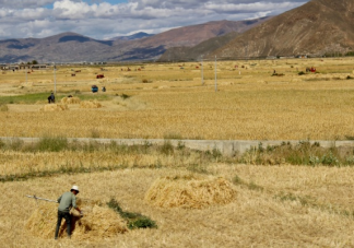 中國農民豐收節(jié)發(fā)朋友圈說說 中國農民豐收節(jié)文案簡短句子