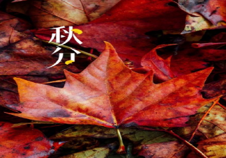 今日秋分早安朋友圈文案句子大全 秋分早安正能量唯美句子