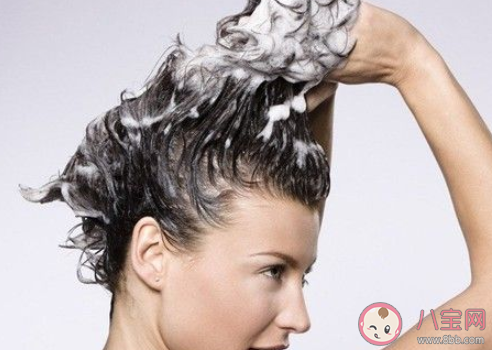 生活中頭皮癢頭皮屑多會不會傳染 螞蟻莊園小課堂9月23日答案