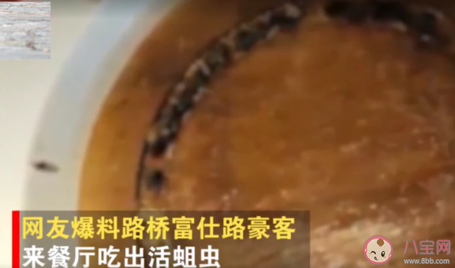 浙江牛排連鎖餐廳吃出活蛆是什么原因導致 豪客來牛排餐廳衛生怎么樣