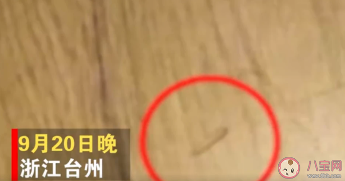 浙江牛排連鎖餐廳吃出活蛆是什么原因導致 豪客來牛排餐廳衛生怎么樣