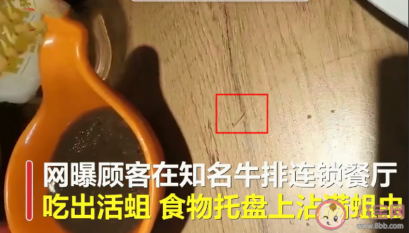 浙江牛排連鎖餐廳吃出活蛆是什么原因導致 豪客來牛排餐廳衛生怎么樣