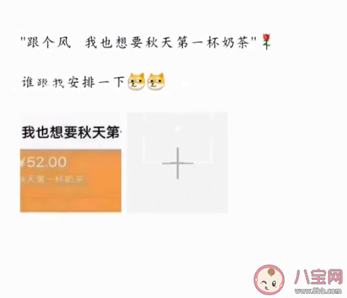 秋天的第一杯奶茶是什么梗 秋天的第一杯奶茶梗知識科普 秋天的第一杯奶茶是什么梗 秋天的第一杯奶茶梗知識科普