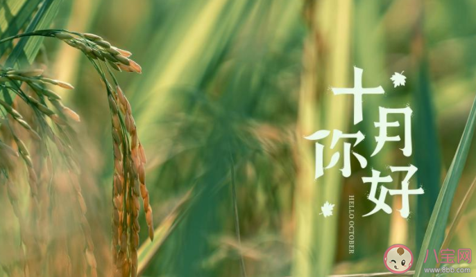 十月致自己的簡短一句話說說朋友圈 十月給自己的正能量簡單句子