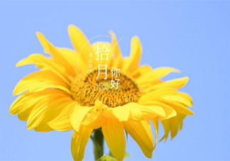 十月致自己的簡短一句話說說朋友圈 十月給自己的正能量簡單句子