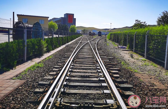 交通工具里火車和鐵軌哪個最先被發明出來 螞蟻莊園小雞課堂9月26日最新答案 交通工具里火車和鐵軌哪個最先被發明出來 螞蟻莊園小雞課堂9月26日最新答案