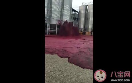 西班牙小鎮5萬升紅酒桶破裂是怎么回事 紅酒桶破裂的原因是什么 西班牙小鎮5萬升紅酒桶破裂是怎么回事 紅酒桶破裂的原因是什么
