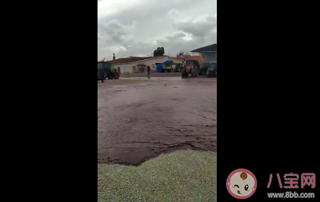 西班牙小鎮5萬升紅酒桶破裂是怎么回事 紅酒桶破裂的原因是什么 西班牙小鎮5萬升紅酒桶破裂是怎么回事 紅酒桶破裂的原因是什么