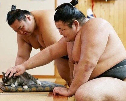 扎丸子頭為什么要出其不意 怎么將丸子頭術扎得蓬松 扎丸子頭為什么要出其不意 怎么將丸子頭術扎得蓬松