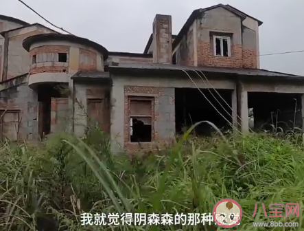 重慶南山豪華別墅群變鬼城是什么原因 半價南山別墅區在哪里 重慶南山豪華別墅群變鬼城是什么原因 半價南山別墅區在哪里