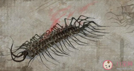 靈籠脊骨說(shuō)的話是什么 靈籠脊骨到底是什么