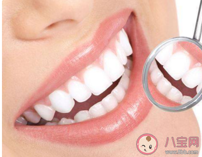 人體最堅硬的部位是 支付寶螞蟻莊園9月27日答案 人體最堅硬的部位是 支付寶螞蟻莊園9月27日答案