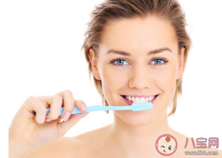 人體最堅硬的部位是 支付寶螞蟻莊園9月27日答案 人體最堅硬的部位是 支付寶螞蟻莊園9月27日答案