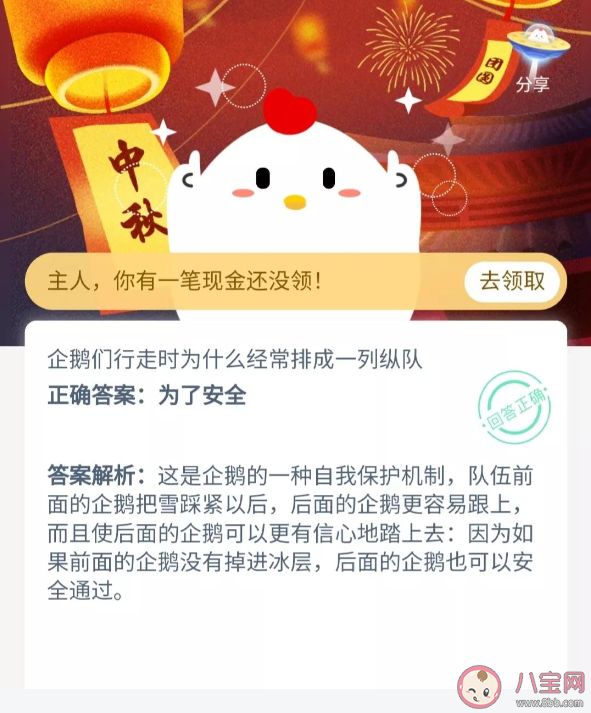 企鵝們行走時為什么經常排成一列縱隊 螞蟻莊園小課堂9月28日今日答案最新