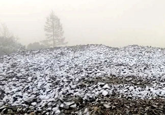 中國最冷小鎮迎來2020年首場降雪是什么情況 最冷小鎮在哪
