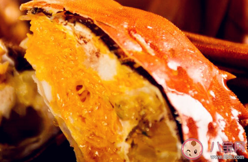 成語無腸公子是古人對哪種動物的別稱 10月2日螞蟻莊園小課堂答案