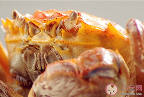 成語無腸公子是古人對哪種動物的別稱 10月2日螞蟻莊園小課堂答案