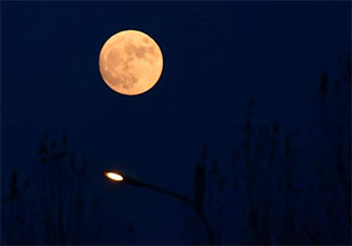 十五的月亮十六圓的幽默朋友圈句子 十五的月亮十六圓搞笑朋友圈說(shuō)說(shuō)