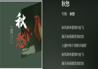 秋風襲來看落葉紛飛滿天秋雨都是我的淚是什么歌 《秋愁》完整版歌詞在線試聽