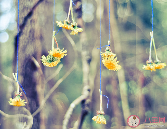 做人不能太善良的心情說說 做人不能太善良心情句子