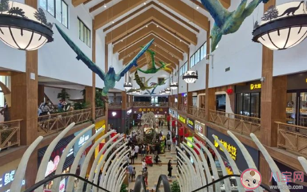 江蘇恐龍主題服務區在哪里 江蘇恐龍主題服務區地理位置