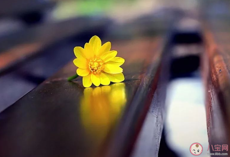 讓人覺得倍感溫暖富有儀式感的說說句子 一眼看著就很溫暖的暖心文案