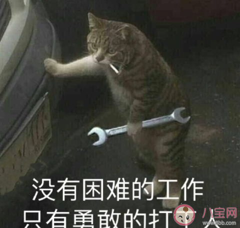 打工人是什么意思什么梗 打工人經典語錄表情包大全 打工人是什么意思什么梗 打工人經典語錄表情包大全