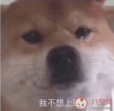 打工人是什么意思什么梗 打工人經典語錄表情包大全 打工人是什么意思什么梗 打工人經典語錄表情包大全