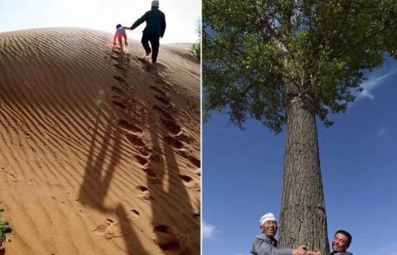 回鄉之路是真實事件改編的嗎 回鄉之路真人真事介紹