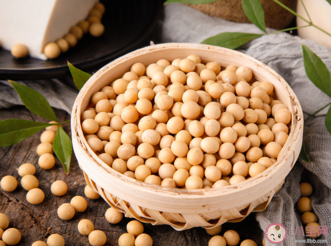 螞蟻莊園10月10日每日一問答案 骨折的病人想要補鈣吃哪種食物會更有效