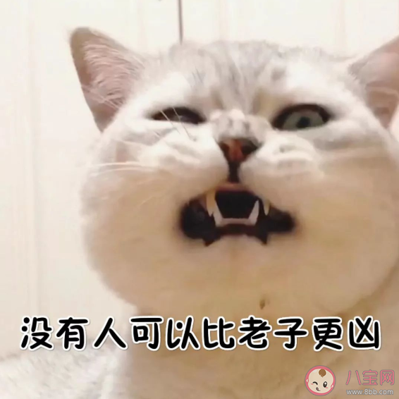 神反轉(zhuǎn)的沙雕朋友圈文案大全 適合發(fā)朋友圈的神反轉(zhuǎn)說說句子