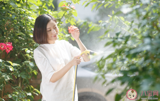 孕婦適合養(yǎng)哪些花 孕婦家里不適合養(yǎng)什么花2020