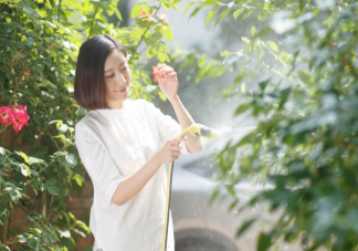 孕婦適合養哪些花 孕婦家里不適合養什么花2020