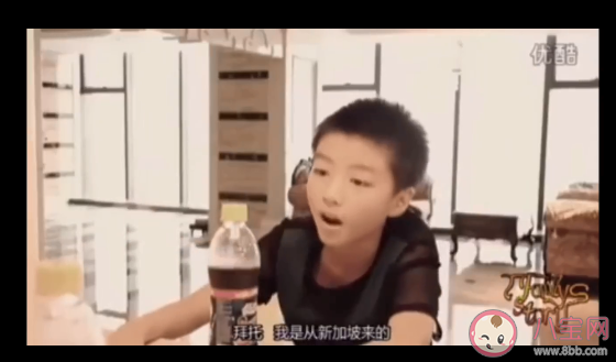 我是從新加坡來(lái)的是什么意思 我是從新加坡來(lái)的梗的出處是什么