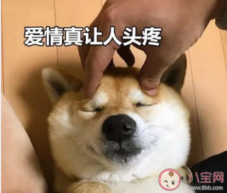 近九成大學生支持開設戀愛課是真的嗎 大學戀愛課有必要開嗎 近九成大學生支持開設戀愛課是真的嗎 大學戀愛課有必要開嗎