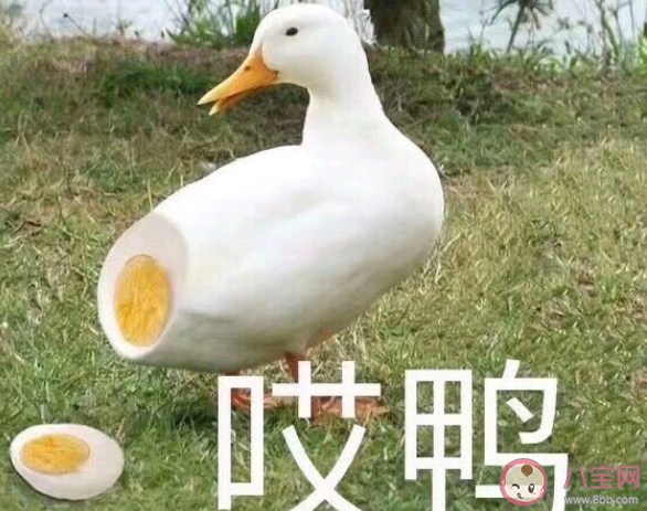 關(guān)節(jié)炎發(fā)作難受的心情說說 關(guān)節(jié)炎發(fā)作難受的心情句子 關(guān)節(jié)炎發(fā)作難受的心情說說 關(guān)節(jié)炎發(fā)作難受的心情句子