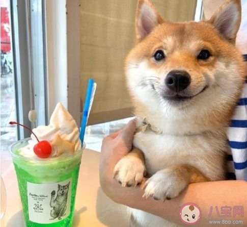 假如遇到了過去的自己你會說什么 想對過去的自己說哪些話 假如遇到了過去的自己你會說什么 想對過去的自己說哪些話