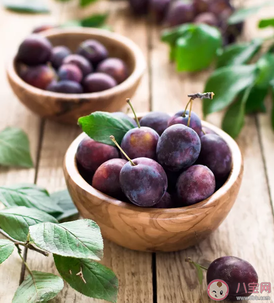 吃西梅拉肚子是怎么回事 吃西梅為什么會拉肚子