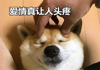 近九成大學生支持開設戀愛課是真的嗎 大學戀愛課有必要開嗎