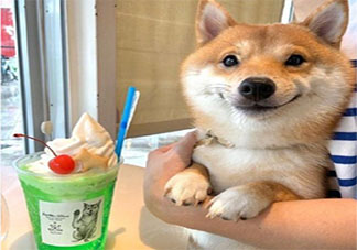 假如遇到了過去的自己你會說什么 想對過去的自己說哪些話