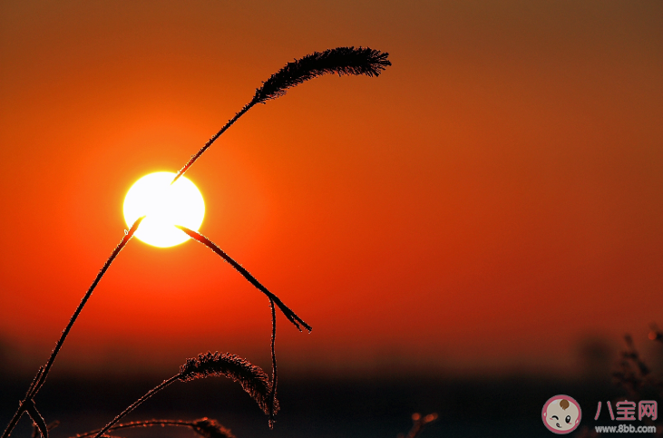 當代年輕人還有鄉愁嗎 年輕人還是如何看待鄉愁的 當代年輕人還有鄉愁嗎 年輕人還是如何看待鄉愁的