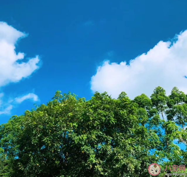 想念家鄉的朋友圈說說 想念家鄉發朋友圈句子