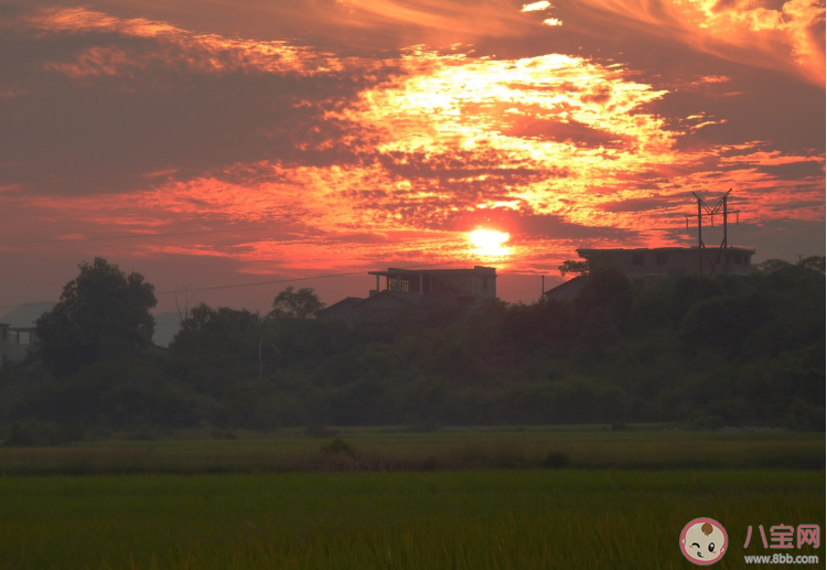 想念家鄉(xiāng)的心情句子感慨說(shuō)說(shuō) 想念家鄉(xiāng)的簡(jiǎn)短說(shuō)說(shuō)配圖 想念家鄉(xiāng)的心情句子感慨說(shuō)說(shuō) 想念家鄉(xiāng)的簡(jiǎn)短說(shuō)說(shuō)配圖